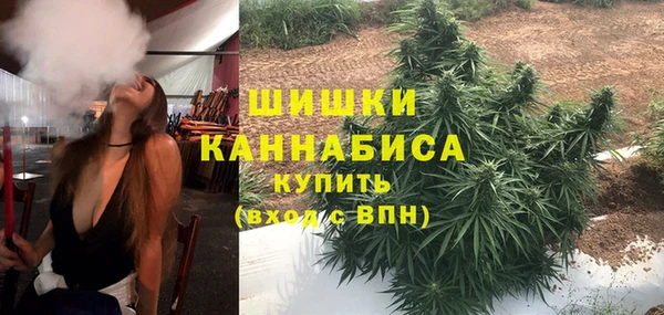 прущие крисы Белокуриха
