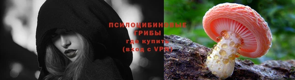 прущие крисы Белокуриха