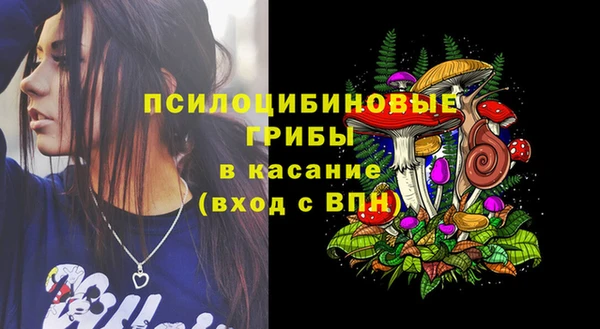 бошки Няндома
